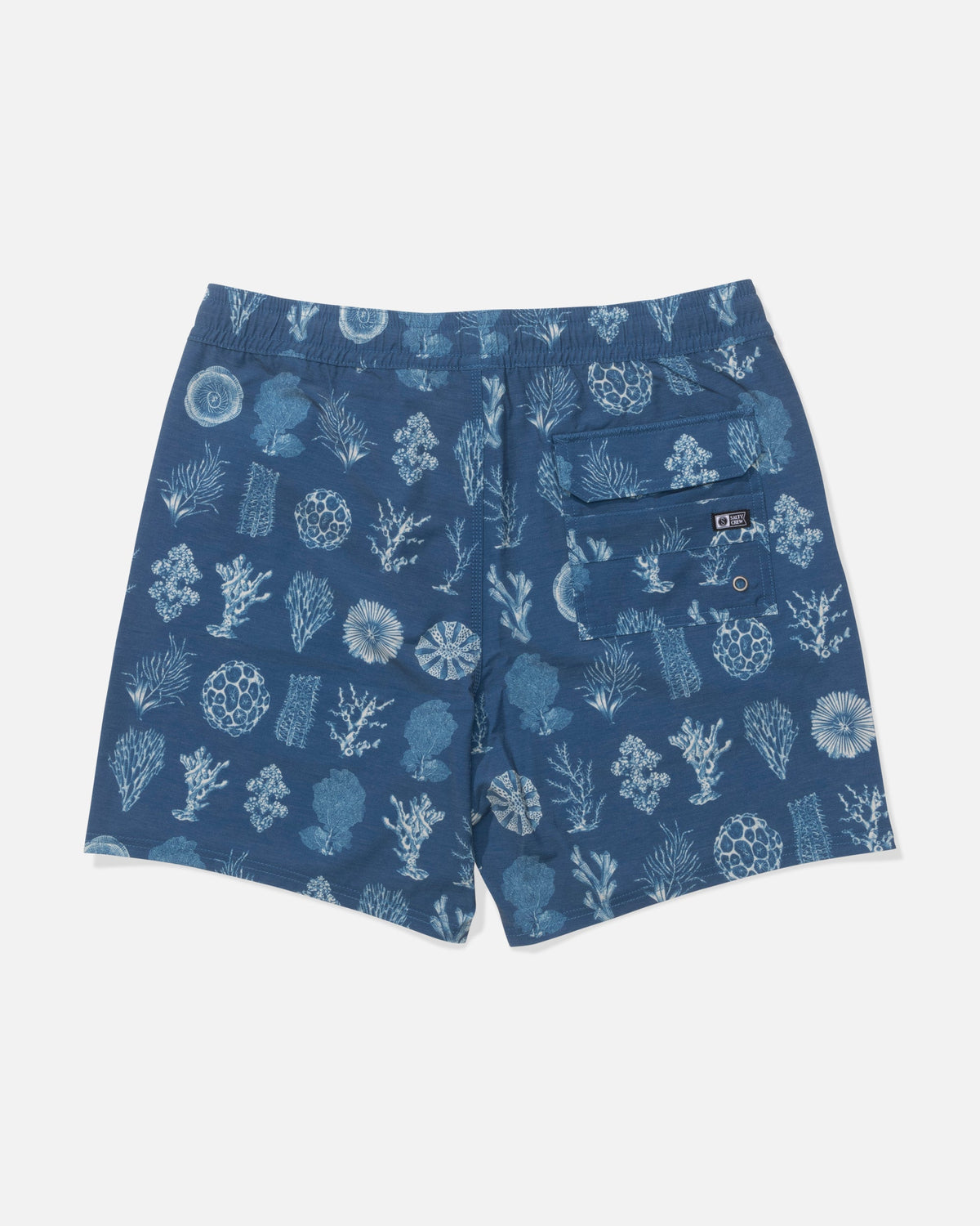 CREW VOLLEY - Cast Blue | Salty Crew