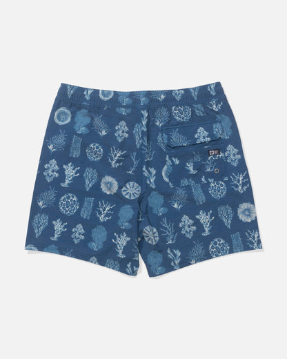 CREW VOLLEY - Cast Blue | Salty Crew