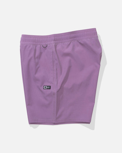 SEADOG VOLLEY - Grape | Salty Crew