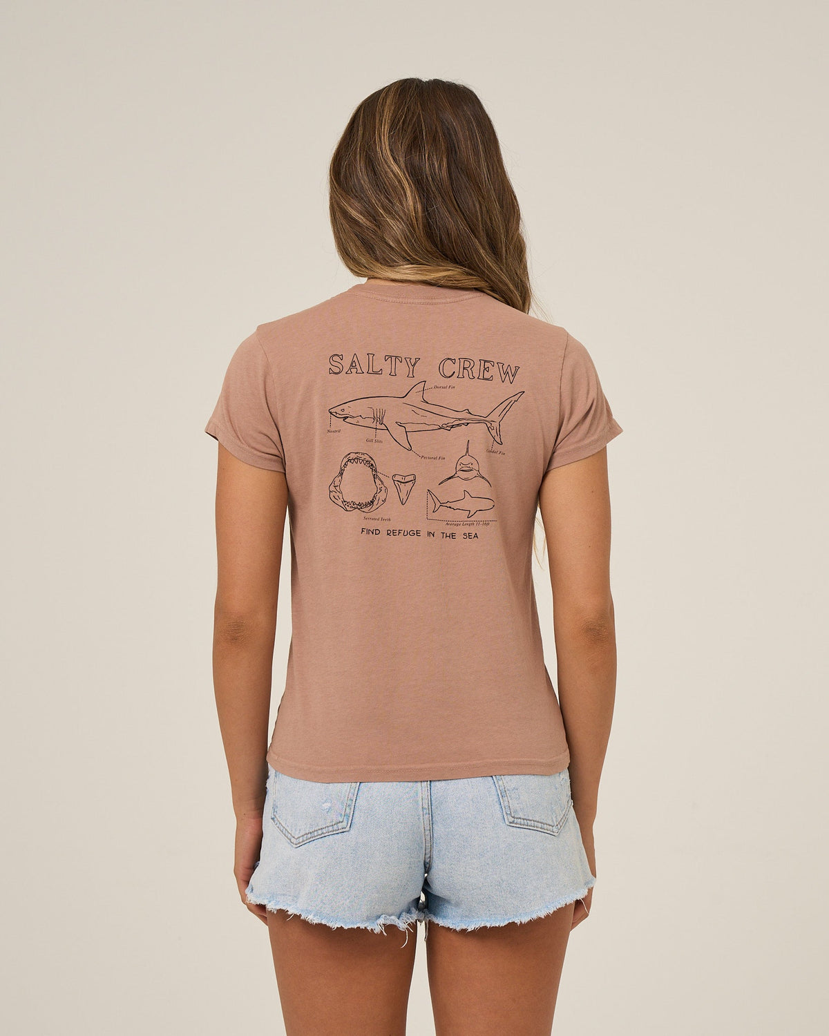 SHARK ANATOMY MODERN TEE - Mocha | Salty Crew