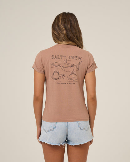 SHARK ANATOMY MODERN TEE - Mocha | Salty Crew