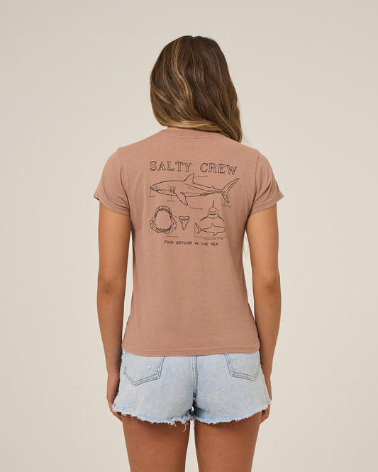 SHARK ANATOMY MODERN TEE - Mocha | Salty Crew