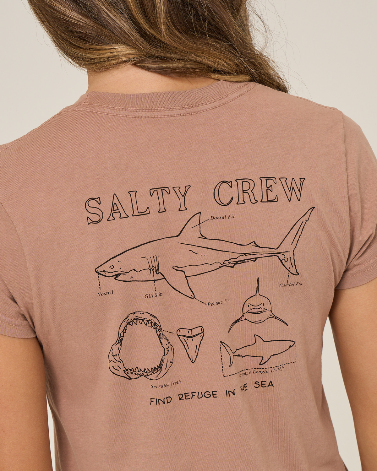 SHARK ANATOMY MODERN TEE - Mocha | Salty Crew