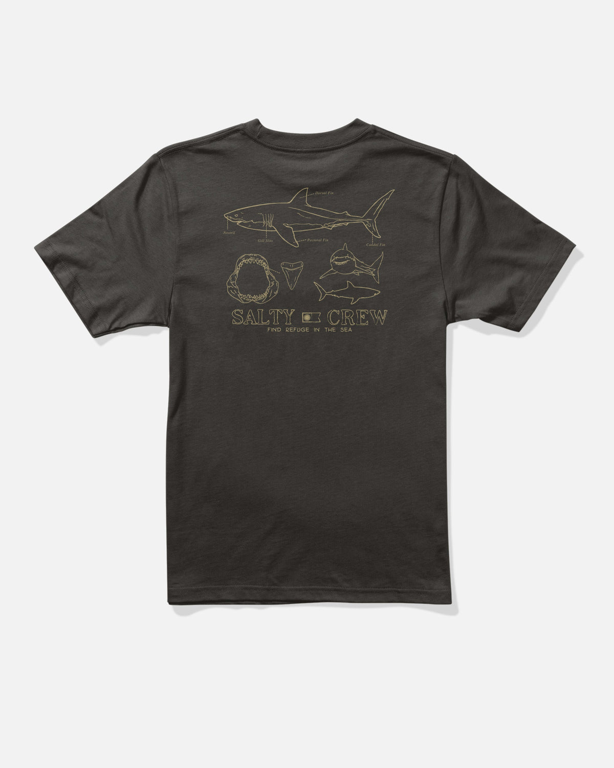 GREAT WHITE BOYS SS TEE - BLACK | Salty Crew