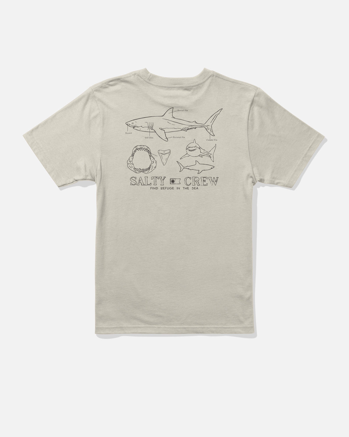 GREAT WHITE BOYS SS TEE - Bone | Salty Crew