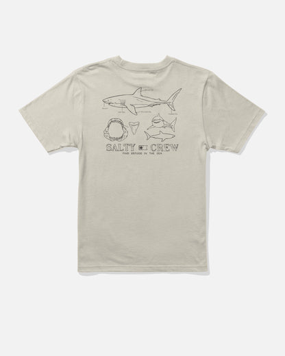 GREAT WHITE BOYS SS TEE - Bone | Salty Crew