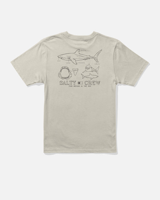GREAT WHITE BOYS SS TEE - Bone | Salty Crew