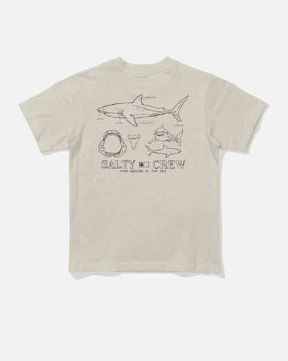GREAT WHITE TDDLR SS TEE - Bone | Salty Crew