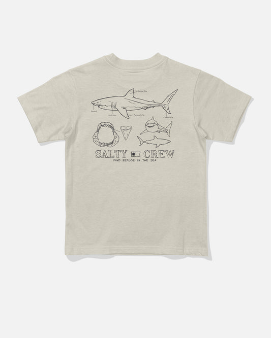 GREAT WHITE TDDLR SS TEE - Bone | Salty Crew