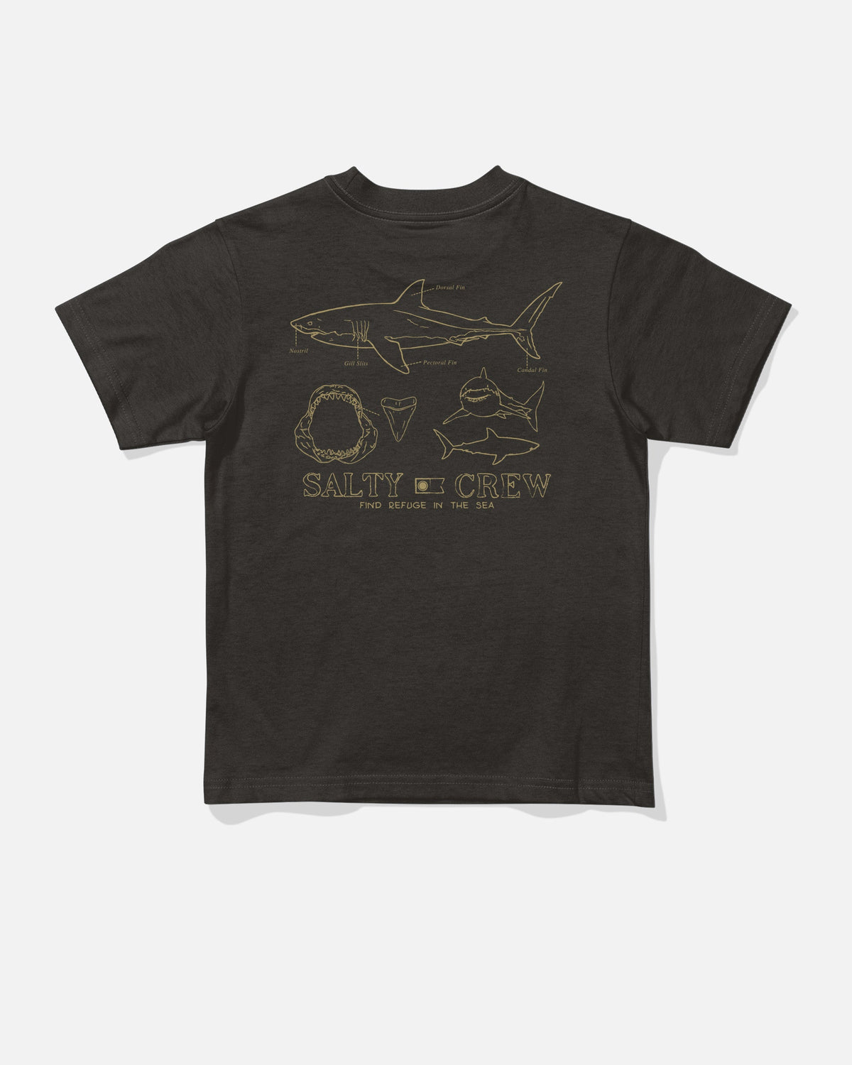 GREAT WHITE TDDLR SS TEE - BLACK | Salty Crew