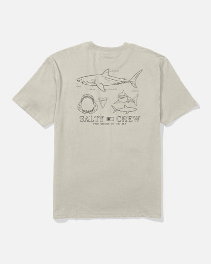 GREAT WHT CLASSIC SS TEE - Bone | Salty Crew